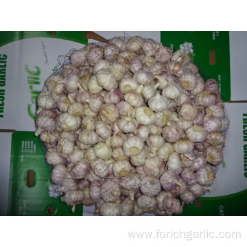 Fresh Normal White Garlic 5.5cm